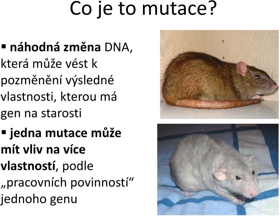 výsledné vlastnosti, kterou má gen na starosti