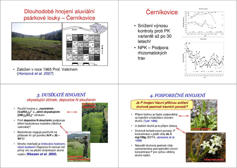 DUSÍKAT KATÉ HNOJENÍ okyselující účinek, depozice N sloučenin Použití hnojiva s neutrálním (Ca(NO 3 ) 2 ) a silně okyselujícím ((NH 4 ) 2 SO 4 ) účinkem Proč depozice N sloučenin podporuje šíření