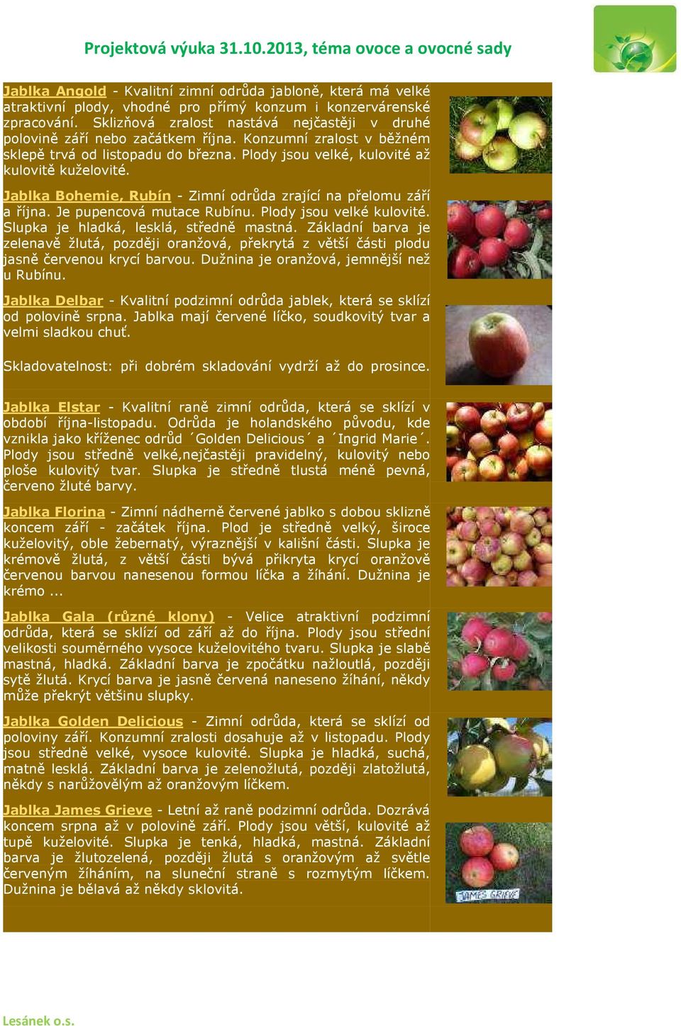 Jablka Bohemie, Rubín - Zimní odrůda zrající na přelomu září a října. Je pupencová mutace Rubínu. Plody jsou velké kulovité. Slupka je hladká, lesklá, středně mastná.