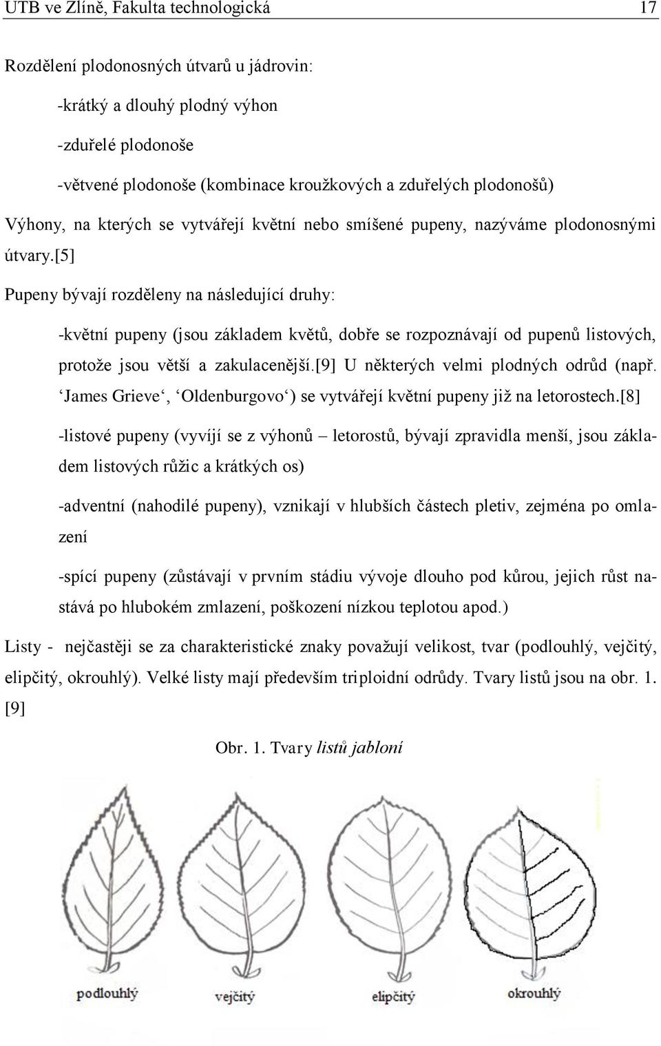 [5] Pupeny bývají rozděleny na následující druhy: -květní pupeny (jsou základem květů, dobře se rozpoznávají od pupenů listových, protoţe jsou větší a zakulacenější.