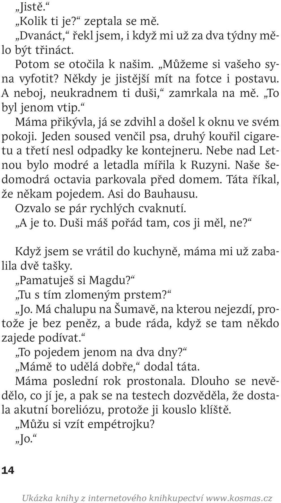 Jeden soused venčil psa, druhý kouřil cigaretu a třetí nesl odpadky ke kontejneru. Nebe nad Letnou bylo modré a letadla mířila k Ruzyni. Naše šedomodrá octavia parkovala před domem.