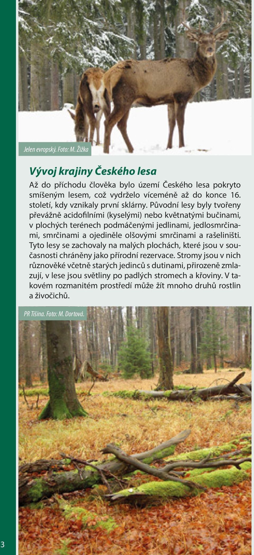 Původní lesy byly tvořeny převážně acidofilními (kyselými) nebo květnatými bučinami, v plochých terénech podmáčenými jedlinami, jedlosmrčinami, smrčinami a ojediněle olšovými smrčinami a