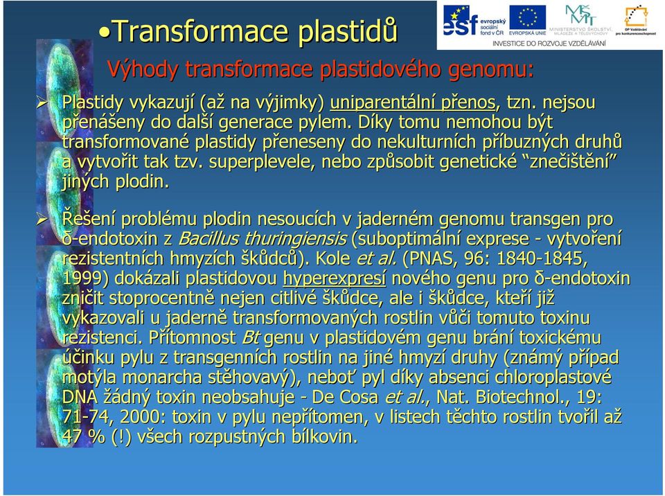 Řešení problému plodin nesoucích ch v jaderném m genomu transgen pro δ-endotoxin z Bacillus thuringiensis (suboptimální exprese - vytvořen ení rezistentních hmyzích škůdců). Kole et al.