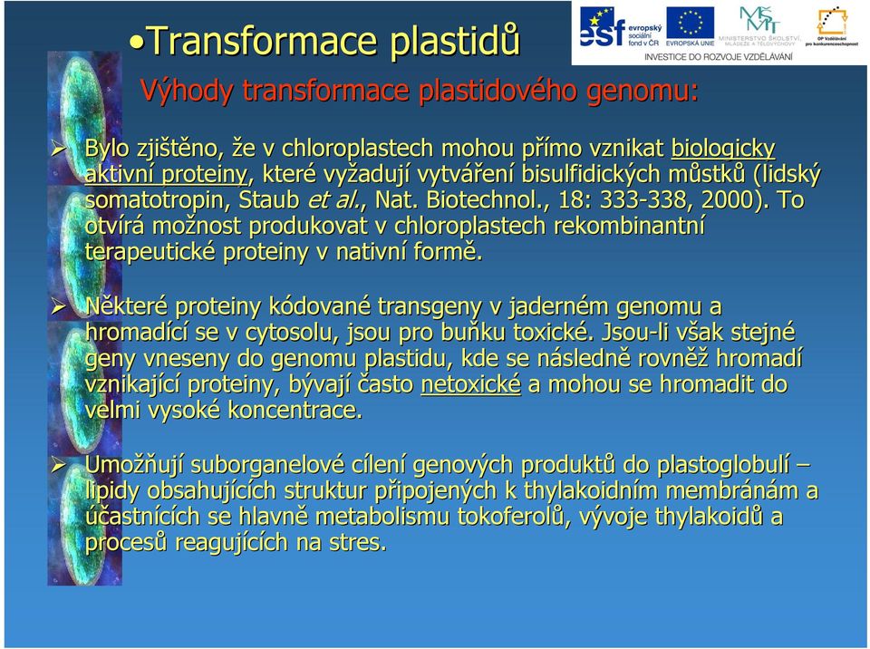 Některé proteiny kódovank dované transgeny v jaderném m genomu a hromadící se v cytosolu,, jsou pro buňku toxické.