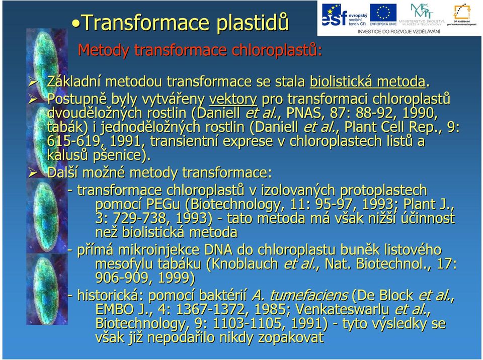 Další možné metody transformace: - transformace chloroplastů v izolovaných protoplastech pomocí PEGu (Biotechnology, 11: 95-97, 97, 1993; Plant J.