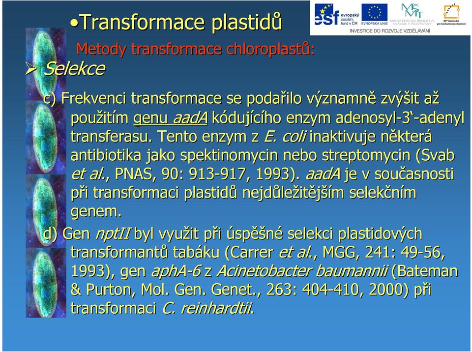 ,, PNAS, 90: 913-917, 917, 1993). aada je v současnosti při i transformaci plastidů nejdůle ležitějším m selekčním genem.