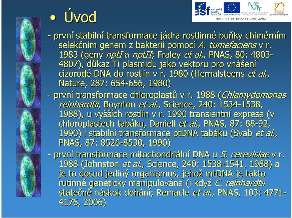 , Nature,, 287: 654-656, 656, 1980) - první transformace chloroplastů v r. 1988 ( (Chlamydomonas reinhardtii, Boynton et al., Science, 240: 1534-1538, 1538, 1988), u vyšší šších rostlin v r.