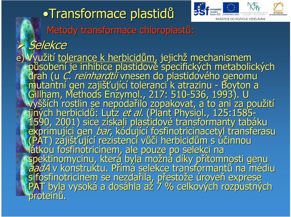 U vyšší šších rostlin se nepodařilo zopakovat, a to ani za použit ití jiných herbicidů: Lutz et al. (Plant Physiol.