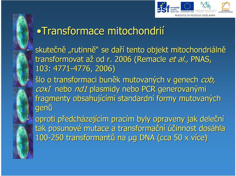 , PNAS, 103: 4771-4776, 4776, 2006) - šlo o transformaci buněk k mutovaných v genech cob, coxi nebo nd1 plasmidy nebo PCR