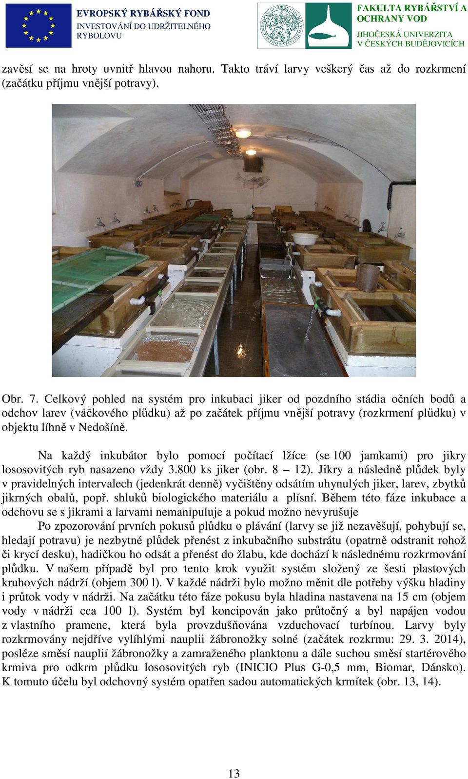 Na každý inkubátor bylo pomocí počítací lžíce (se 100 jamkami) pro jikry lososovitých ryb nasazeno vždy 3.800 ks jiker (obr. 8 12).
