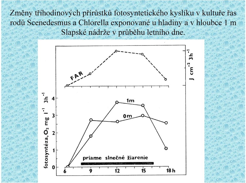 rodů Scenedesmus a Chlorella exponované u