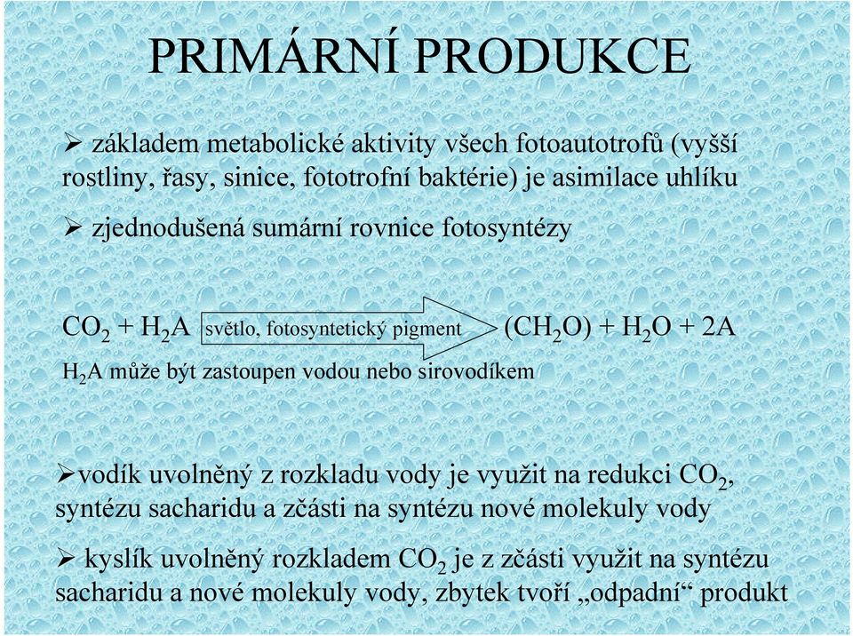 zastoupen vodou nebo sirovodíkem vodík uvolněný z rozkladu vody je využit na redukci CO 2, syntézu sacharidu a zčásti na syntézu