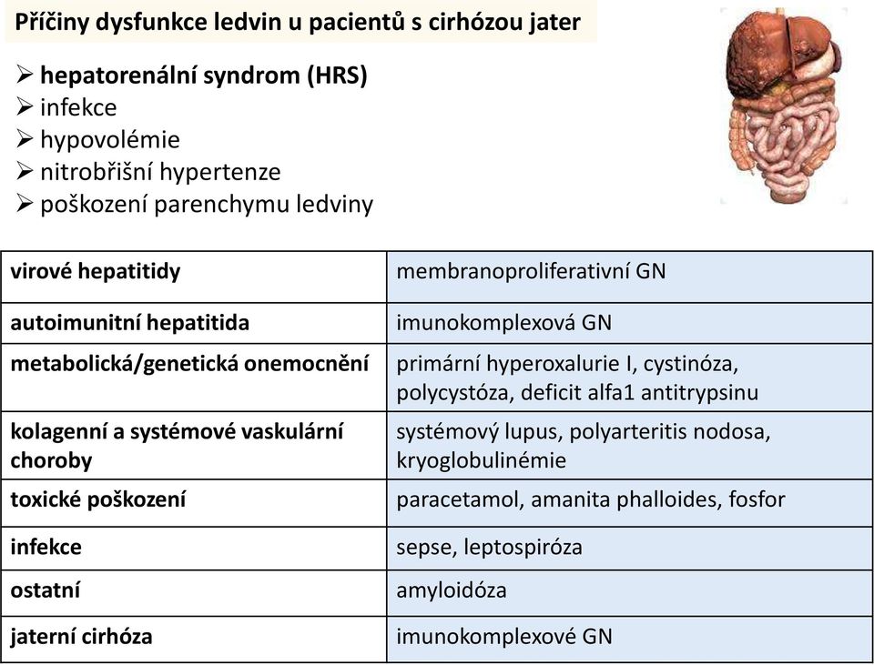 hyperoxaluriei, cystinóza, polycystóza, deficit alfa1 antitrypsinu kolagenní a systémové vaskulární choroby toxické poškození systémový lupus,