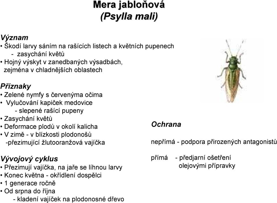 zimě - v blízkosti plodonošů -přezimující žlutooranžová vajíčka Ochrana nepřímá - podpora přirozených antagonistů Vývojový cyklus Přezimují vajíčka, na jaře se