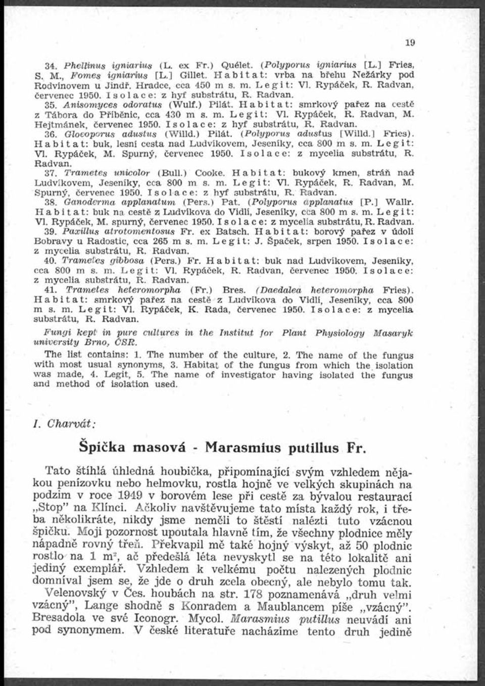 Hejtmánek, červenec 1950. Isolace: z hyf substrátu, R. Radvan. 36. Gloeoporus adustus (W illd.) Pilát. (P oly p oru s adustus [W illd.] Fries).