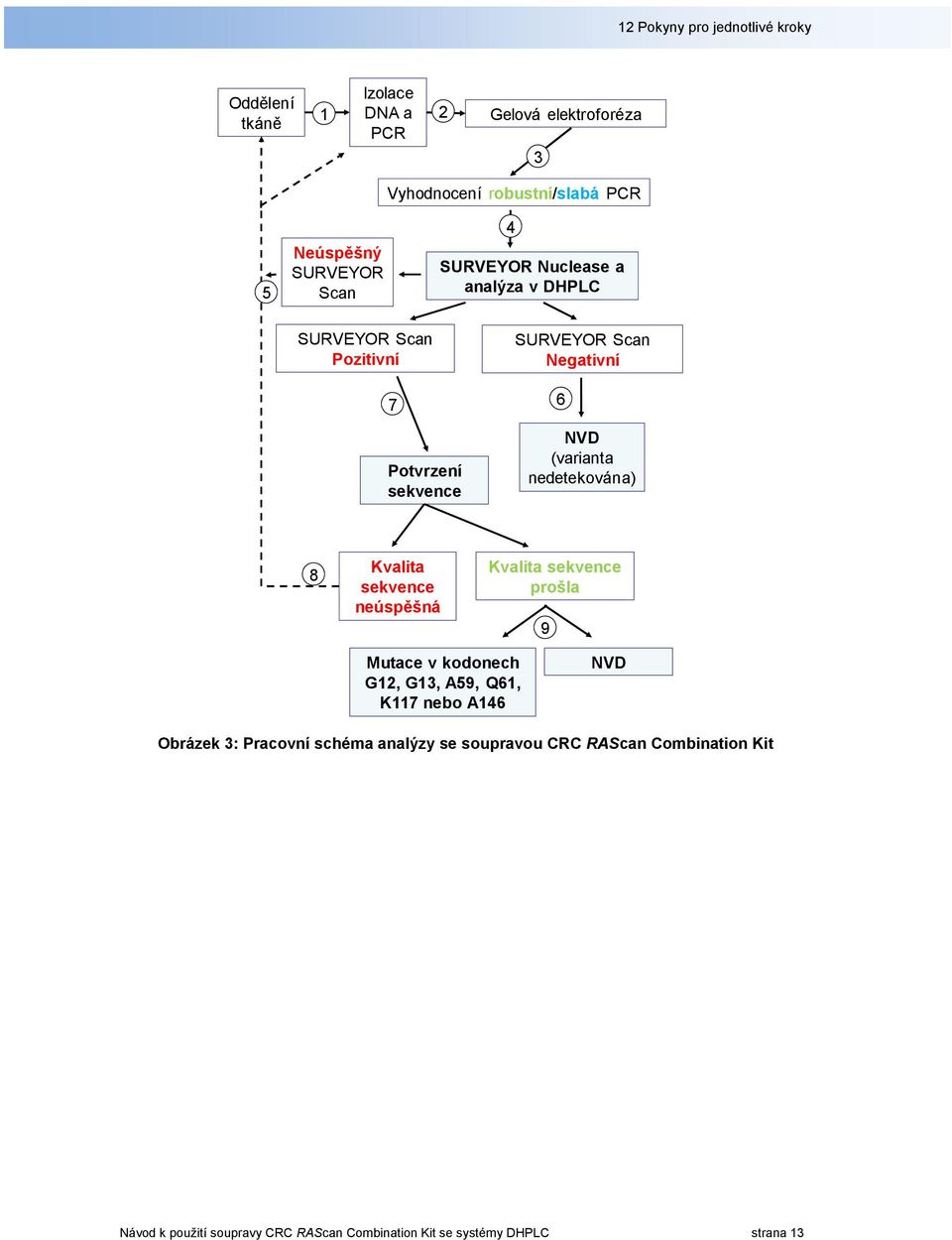 (varianta nedetekována) 8 Kvalita sekvence neúspěšná Kvalita sekvence prošla 9 Mutace v kodonech G12, G13, A59, Q61, K117 nebo A146