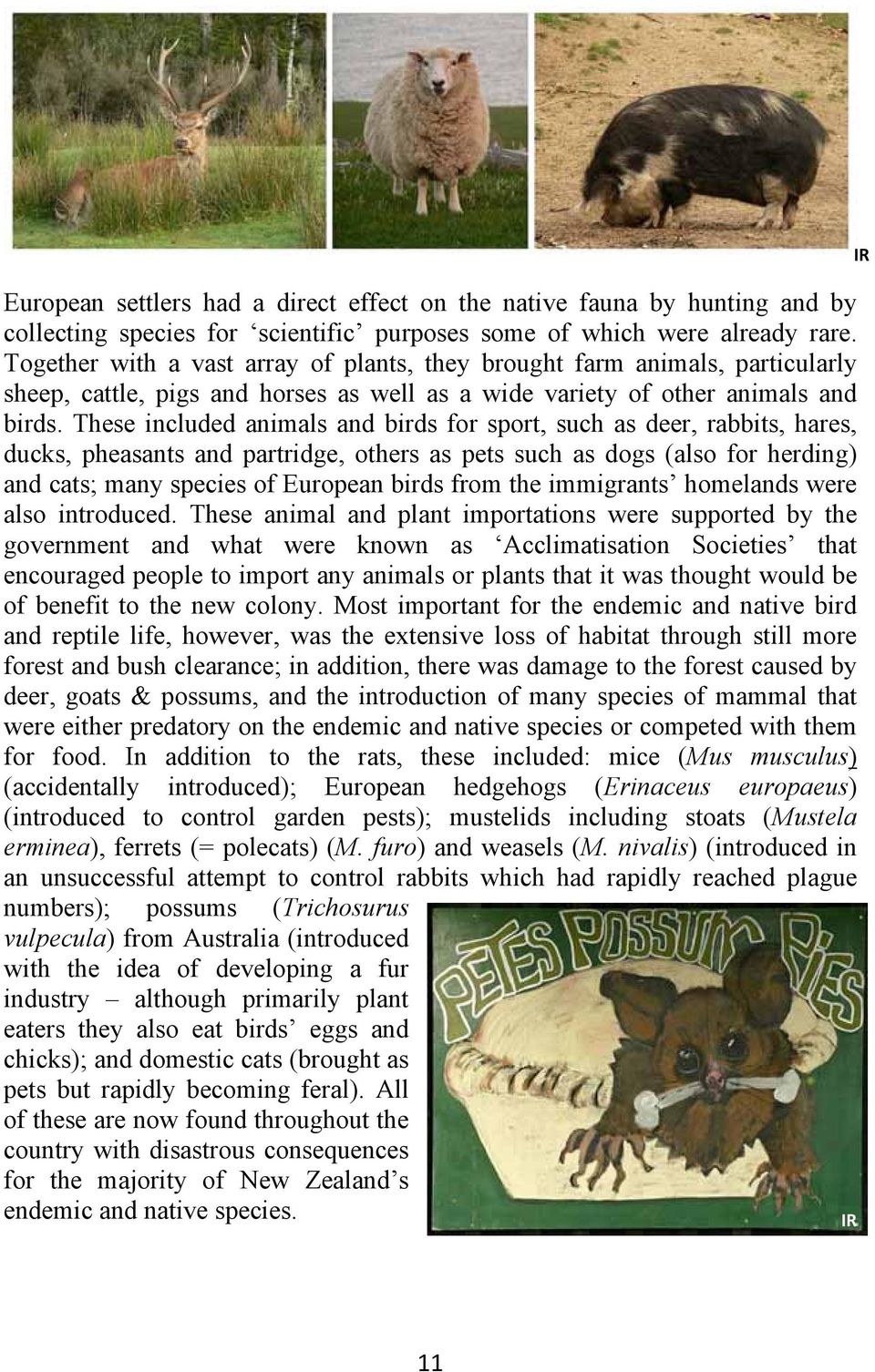 These included animals and birds for sport, such as deer, rabbits, hares, ducks, pheasants and partridge, others as pets such as dogs (also for herding) and cats; many species of European birds from