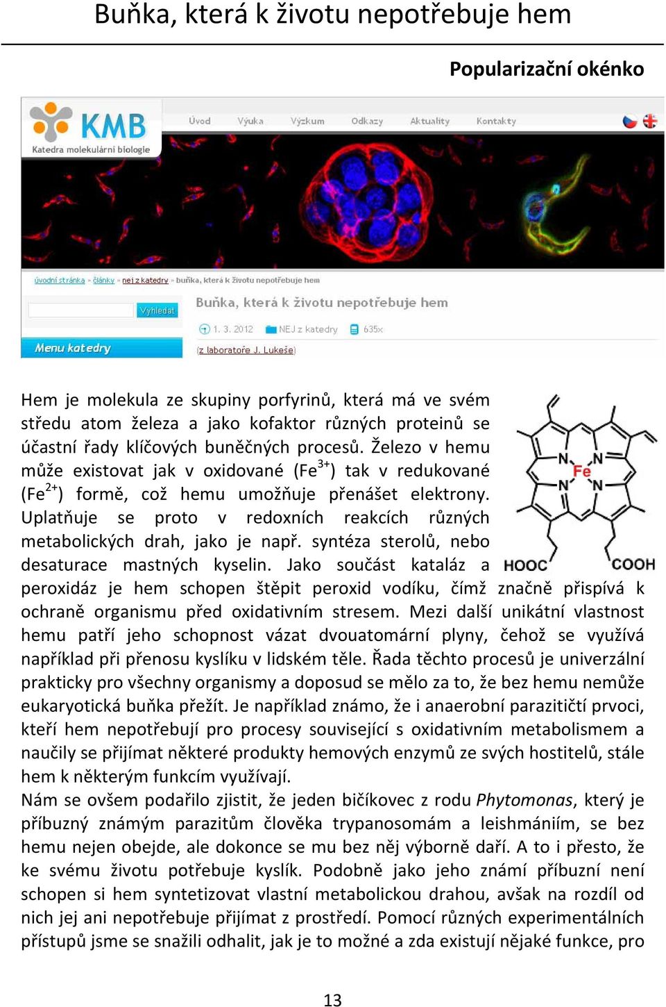 Uplatňuje se proto v redoxních reakcích různých metabolických drah, jako je např. syntéza sterolů, nebo desaturace mastných kyselin.