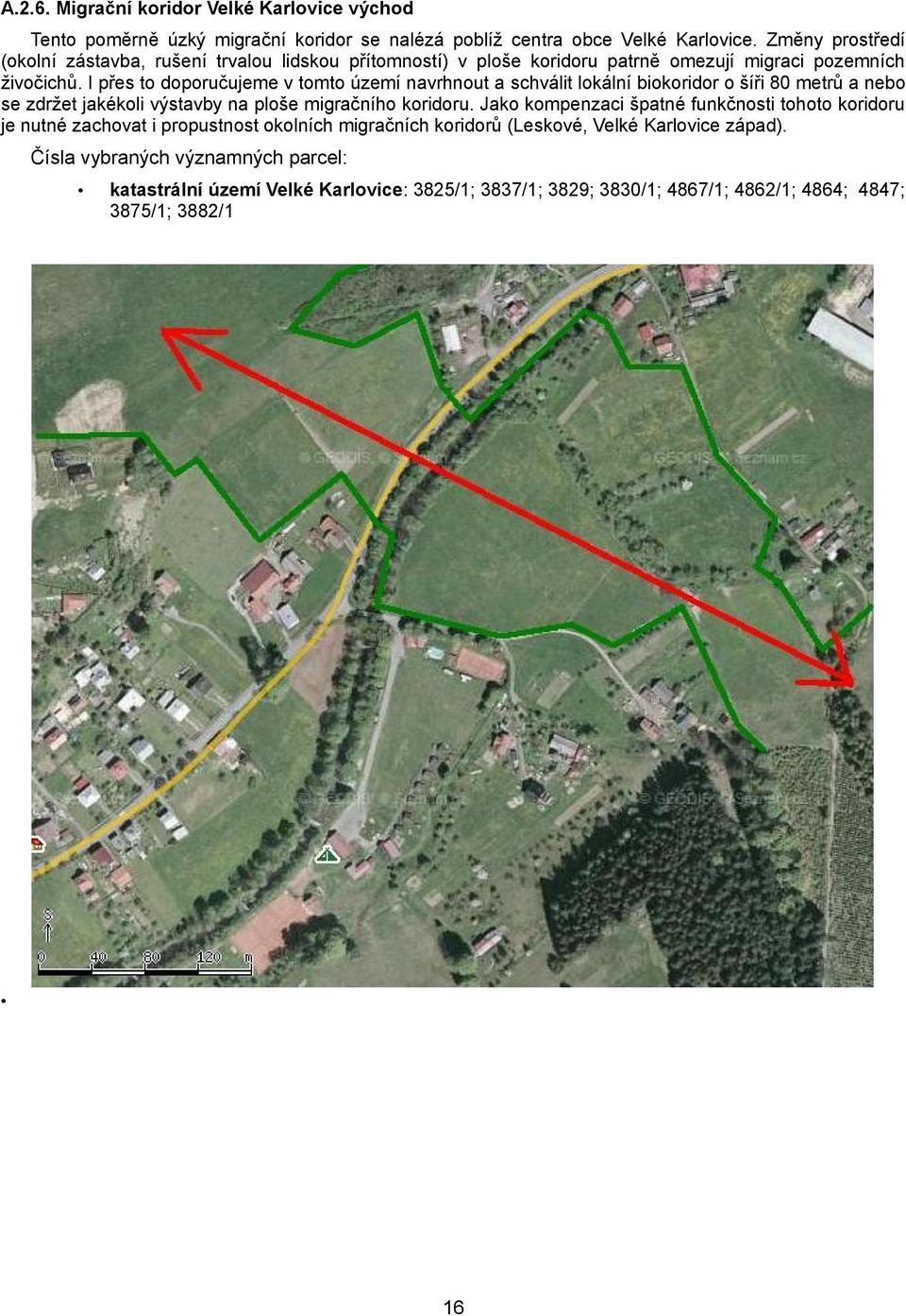 I přes to doporučujeme v tomto území navrhnout a schválit lokální biokoridor o šíři 80 metrů a nebo se zdržet jakékoli výstavby na ploše migračního koridoru.