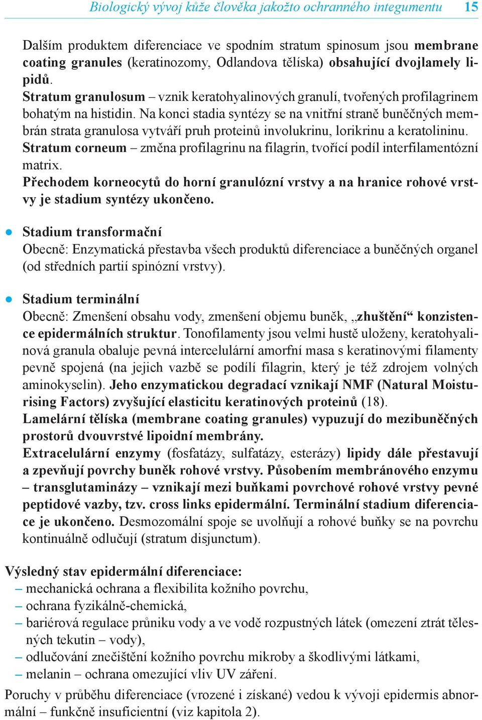 Na konci stadia syntézy se na vnitřní straně buněčných membrán strata granulosa vytváří pruh proteinů involukrinu, lorikrinu a keratolininu.