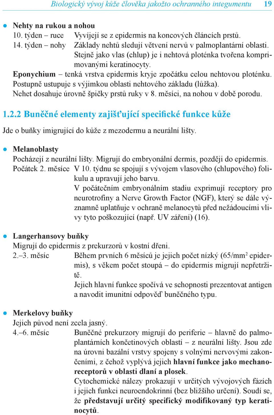 Eponychium tenká vrstva epidermis kryje zpočátku celou nehtovou ploténku. Postupně ustupuje s výjimkou oblasti nehtového základu (lůžka). Nehet dosahuje úrovně špičky prstů ruky v 8.