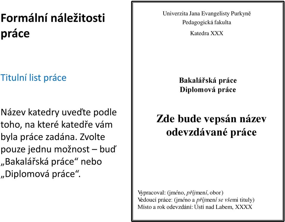 Zvolte pouze jednu možnost buď Bakalářská práce nebo Diplomová práce.