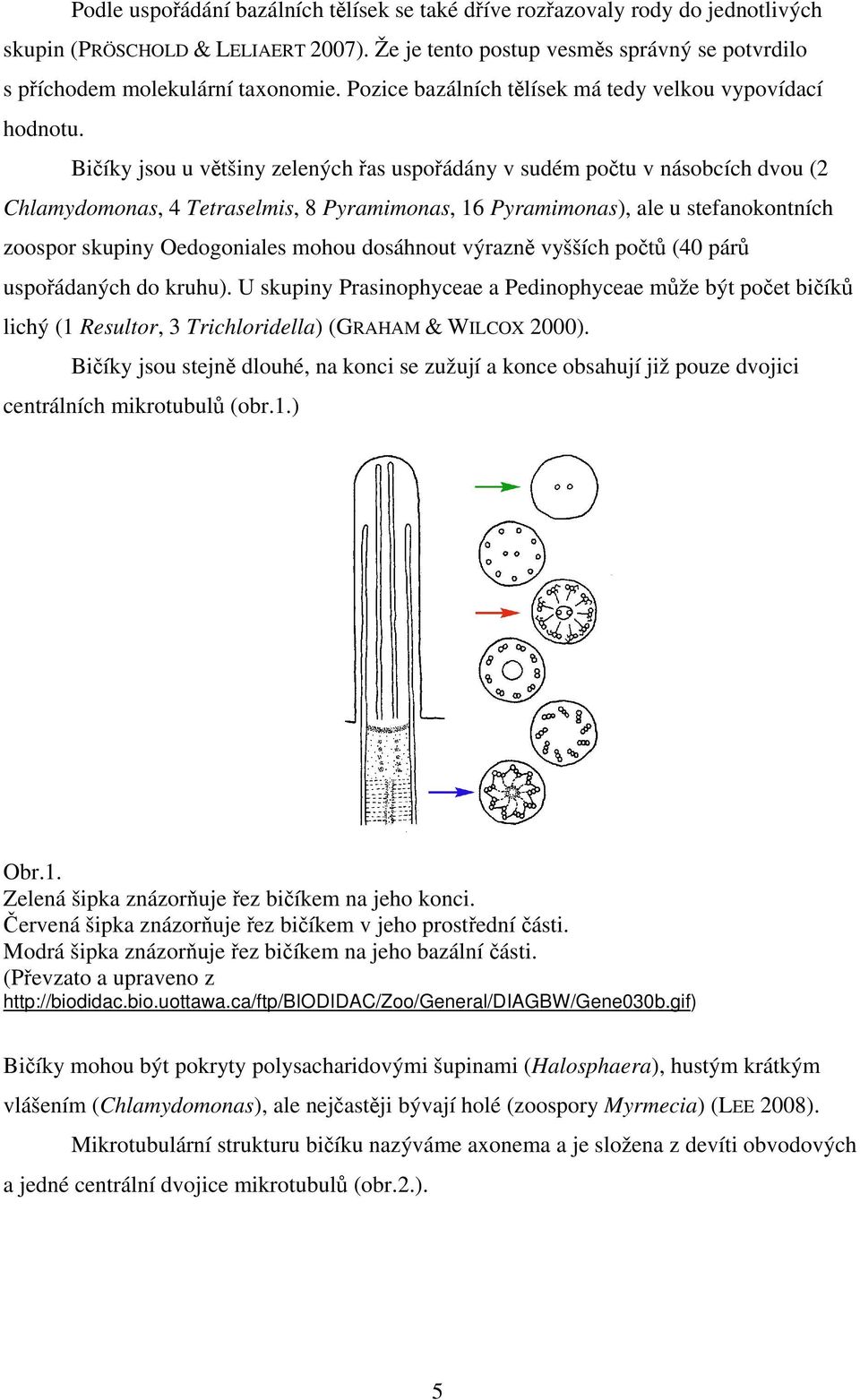 Bičíky jsou u většiny zelených řas uspořádány v sudém počtu v násobcích dvou (2 Chlamydomonas, 4 Tetraselmis, 8 Pyramimonas, 16 Pyramimonas), ale u stefanokontních zoospor skupiny Oedogoniales mohou