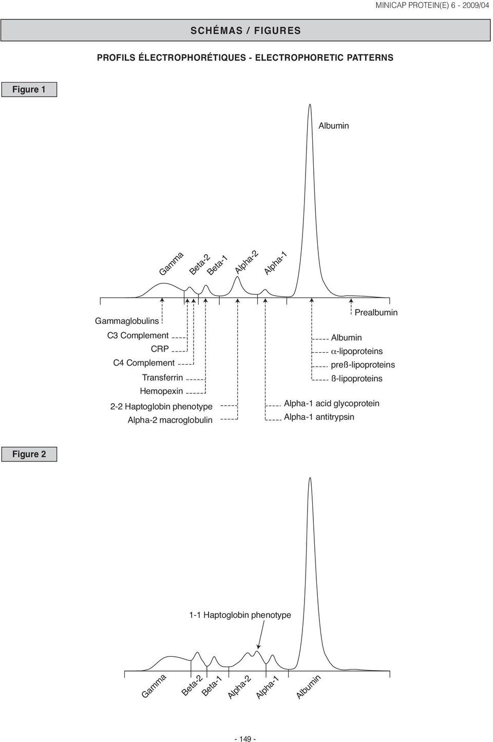 Alpha-2 macroglobulin Prealbumin Albumin α-lipoproteins preß-lipoproteins ß-lipoproteins Alpha-1 acid