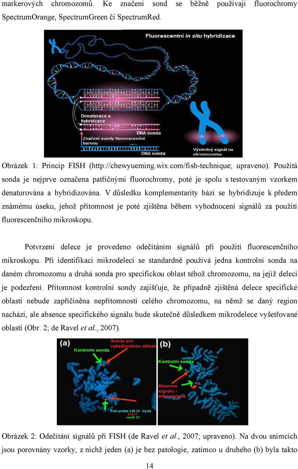 V důsledku komplementarity bází se hybridizuje k předem známému úseku, jehož přítomnost je poté zjištěna během vyhodnocení signálů za použití fluorescenčního mikroskopu.