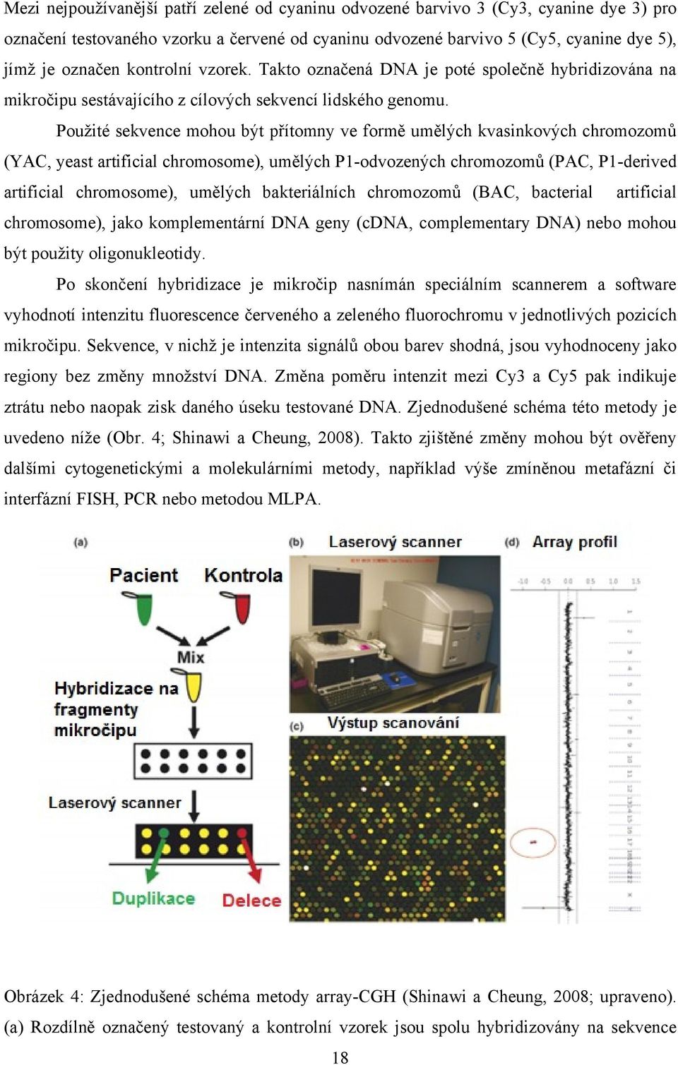 Použité sekvence mohou být přítomny ve formě umělých kvasinkových chromozomů (YAC, yeast artificial chromosome), umělých P1-odvozených chromozomů (PAC, P1-derived artificial chromosome), umělých