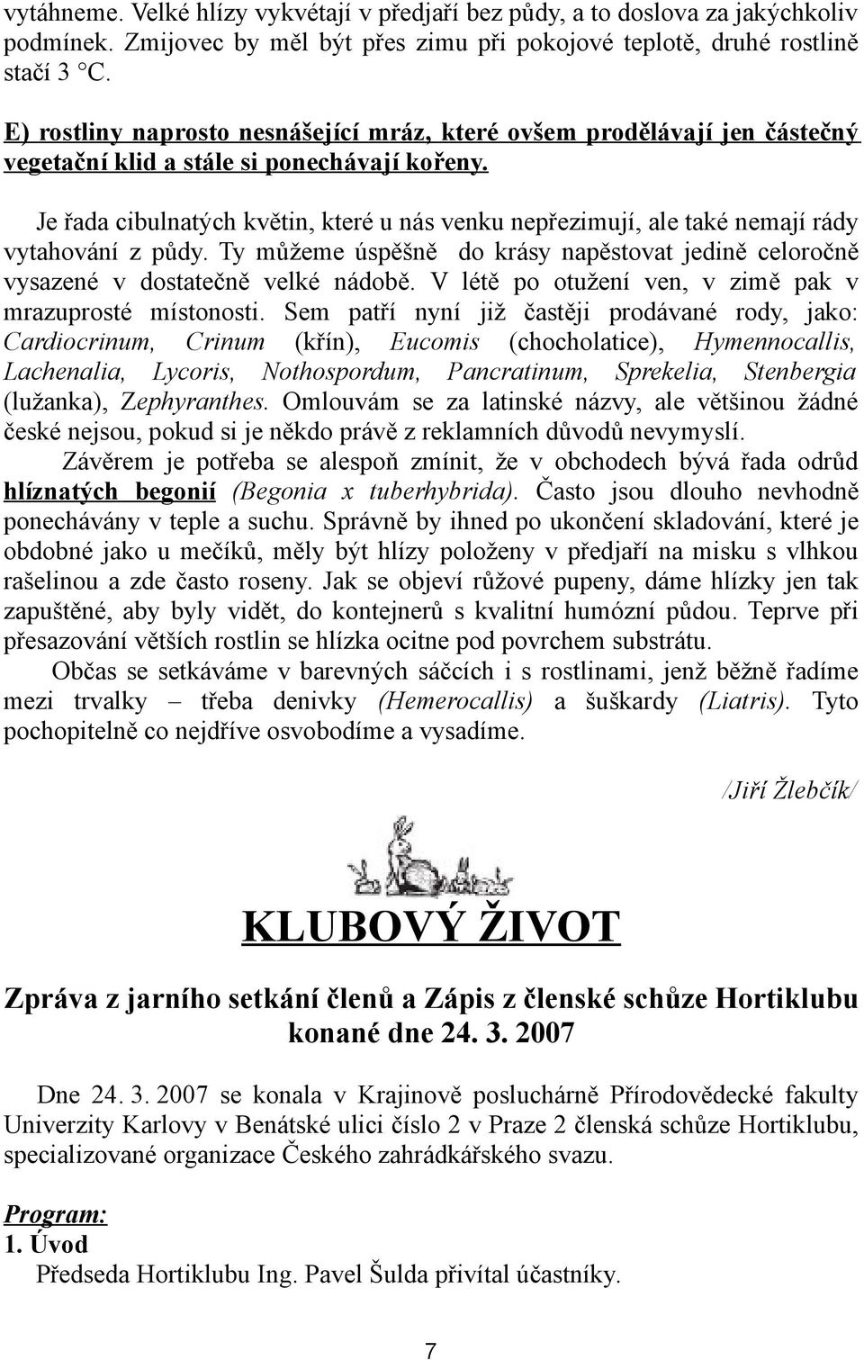 Je řada cibulnatých květin, které u nás venku nepřezimují, ale také nemají rády vytahování z půdy. Ty můžeme úspěšně do krásy napěstovat jedině celoročně vysazené v dostatečně velké nádobě.