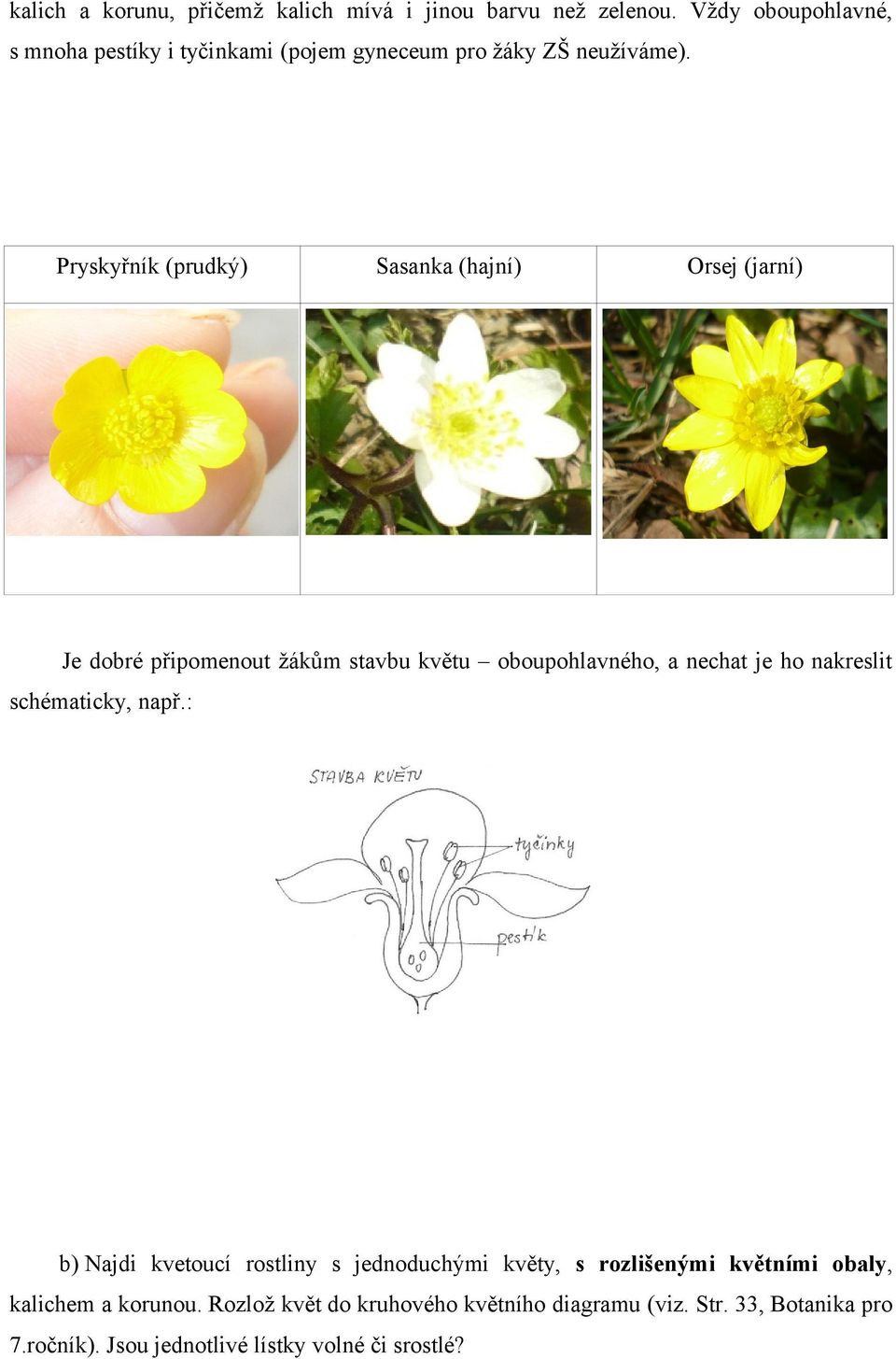 Pryskyřník (prudký) Sasanka (hajní) Orsej (jarní) Je dobré připomenout žákům stavbu květu oboupohlavného, a nechat je ho nakreslit