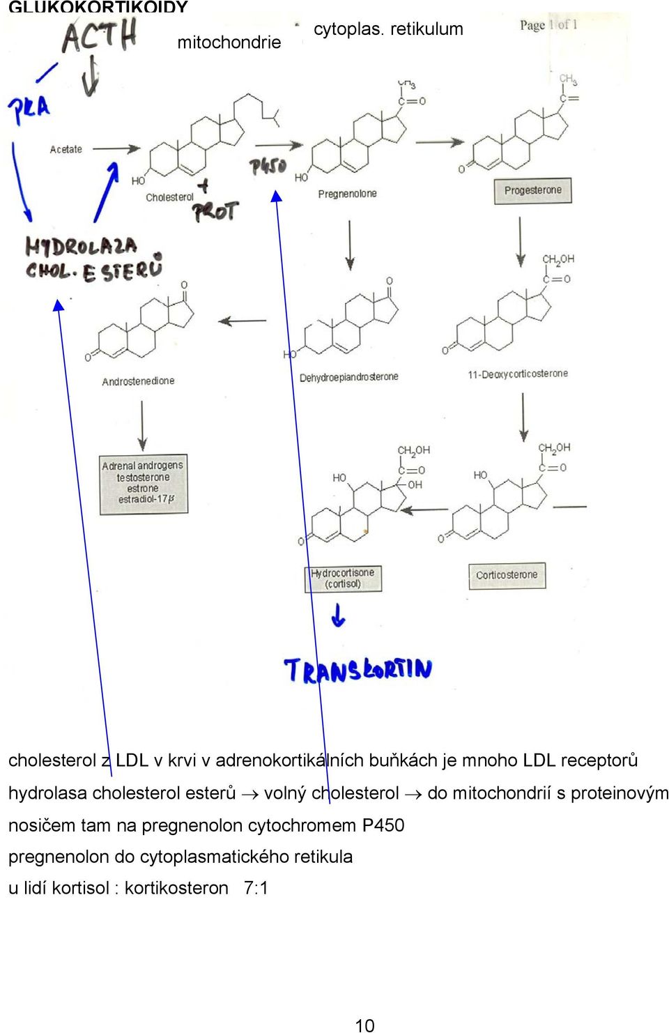 receptorů hydrolasa cholesterol esterů volný cholesterol do mitochondrií s