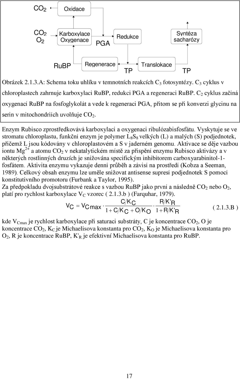 C 2 cyklus začíná oxygenací RuBP na fosfoglykolát a vede k regeneraci PGA, přitom se při konverzi glycinu na serin v mitochondriích uvolňuje CO 2.