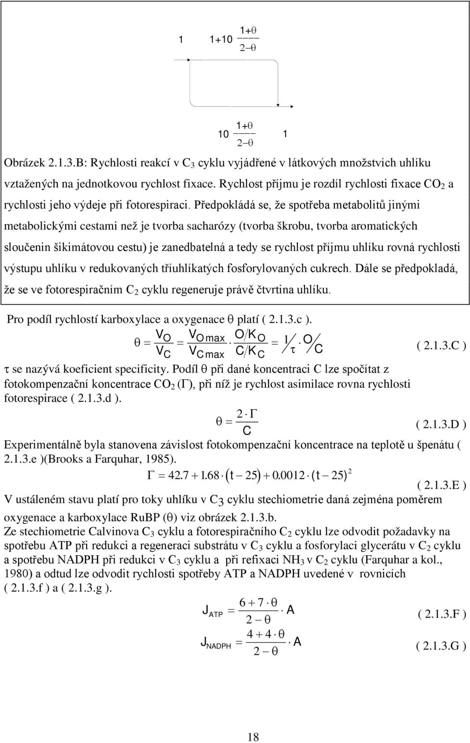 Předpokládá se, že spotřeba metabolitů jinými metabolickými cestami než je tvorba sacharózy (tvorba škrobu, tvorba aromatických sloučenin šikimátovou cestu) je zanedbatelná a tedy se rychlost příjmu