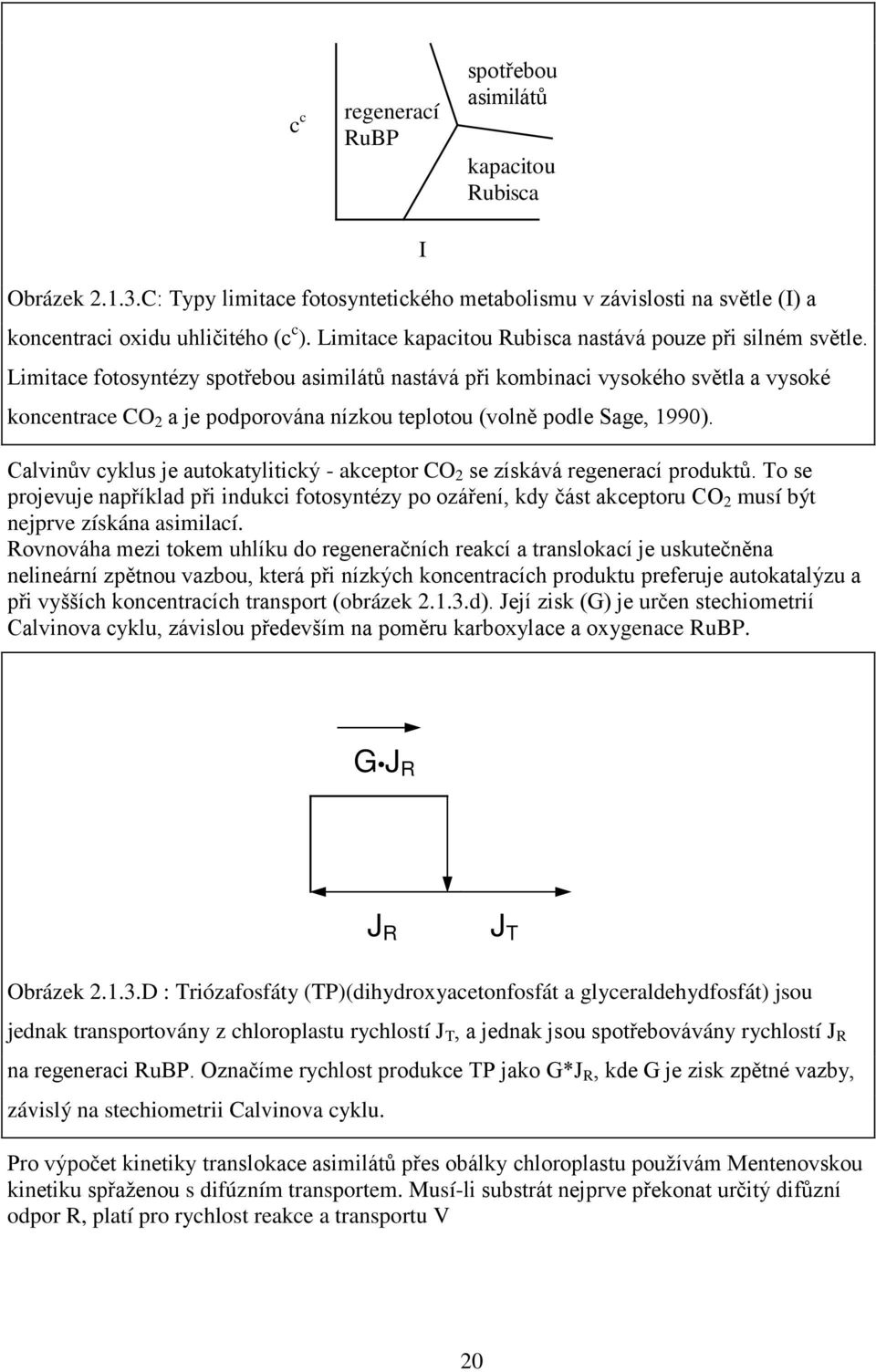 Limitace fotosyntézy spotřebou asimilátů nastává při kombinaci vysokého světla a vysoké koncentrace CO 2 a je podporována nízkou teplotou (volně podle Sage, 199).