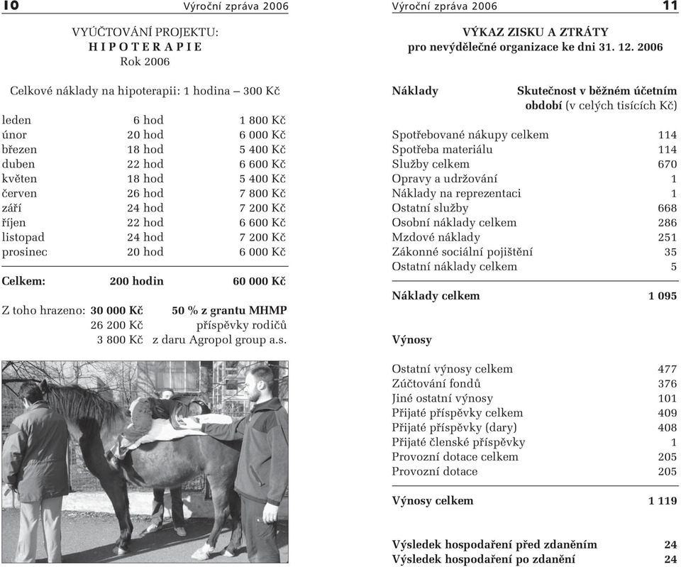 Kč Z toho hrazeno: 30 000 Kč 50 % z grantu MHMP 26 200 Kč příspěvky rodičů 3 800 Kč z daru Agropol group a.s. VÝKAZ ZISKU A ZTRÁTY pro nevýdělečné organizace ke dni 31. 12.