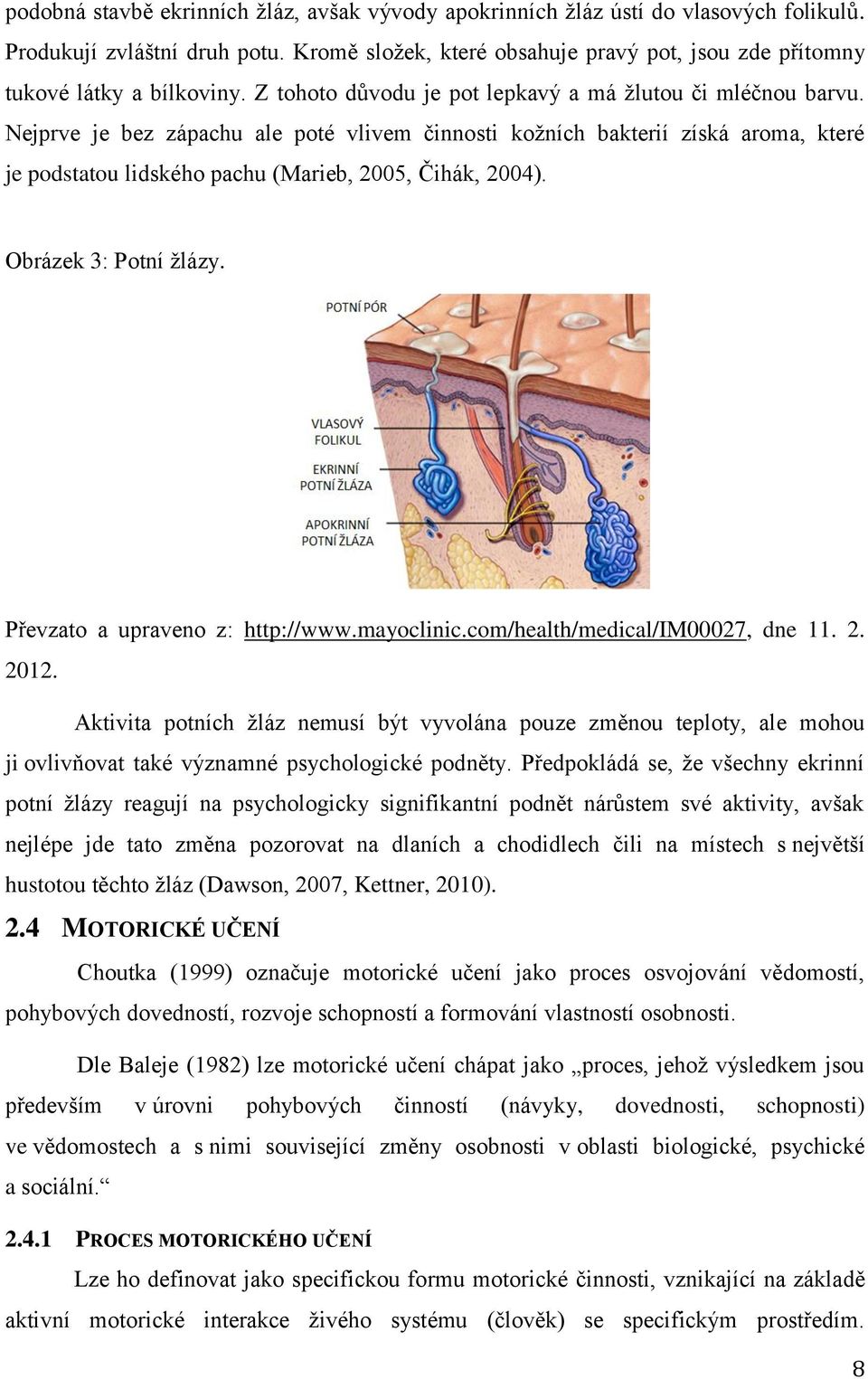 Nejprve je bez zápachu ale poté vlivem činnosti kožních bakterií získá aroma, které je podstatou lidského pachu (Marieb, 2005, Čihák, 2004). Obrázek 3: Potní žlázy. Převzato a upraveno z: http://www.