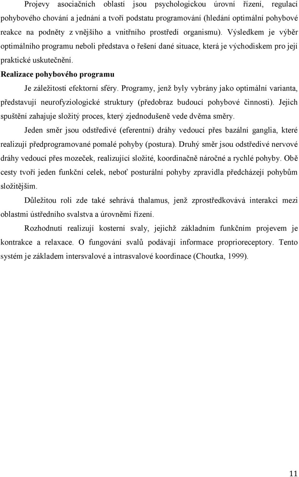 Realizace pohybového programu Je záležitostí efektorní sféry. Programy, jenž byly vybrány jako optimální varianta, představují neurofyziologické struktury (předobraz budoucí pohybové činnosti).