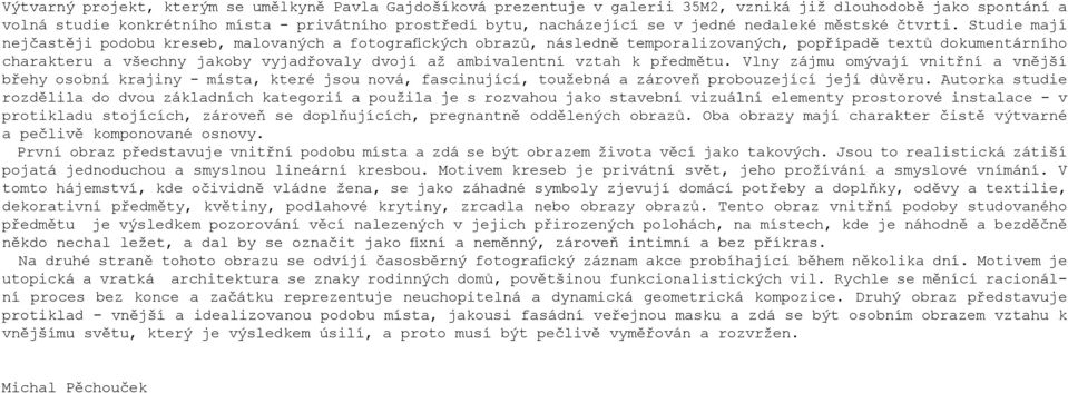 Studie mají nejčastěji podobu kreseb, malovaných a fotografických obrazů, následně temporalizovaných, popřípadě textů dokumentárního charakteru a všechny jakoby vyjadřovaly dvojí až ambivalentní