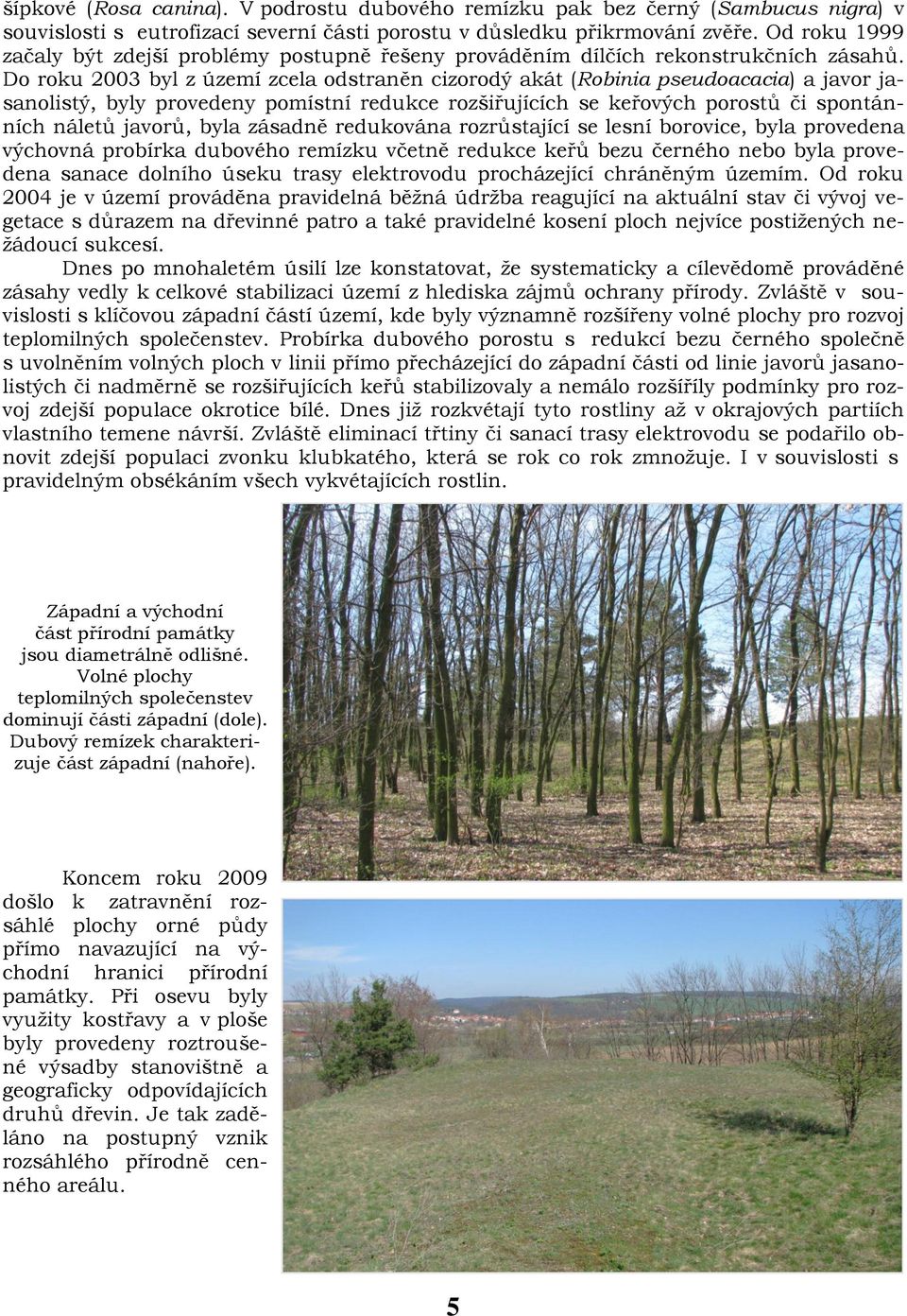 Do roku 2003 byl z území zcela odstraněn cizorodý akát (Robinia pseudoacacia) a javor jasanolistý, byly provedeny pomístní redukce rozšiřujících se keřových porostů či spontánních náletů javorů, byla