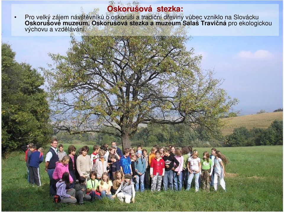 Slovácku Oskorušové muzeum, Oskorušová stezka a