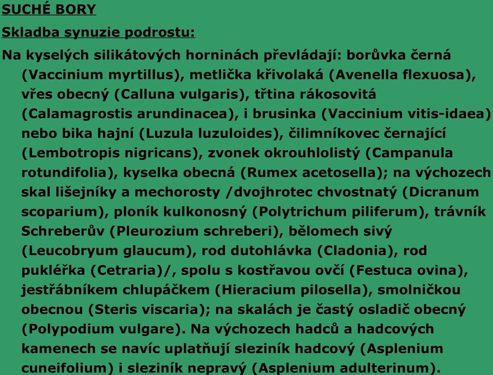 kyselka obecná (Rumex acetosella); na výchozech skal lišejníky a mechorosty /dvojhrotec chvostnatý (Dicranum scoparium), ploník kulkonosný (Polytrichum piliferum), trávník Schreberův (Pleurozium