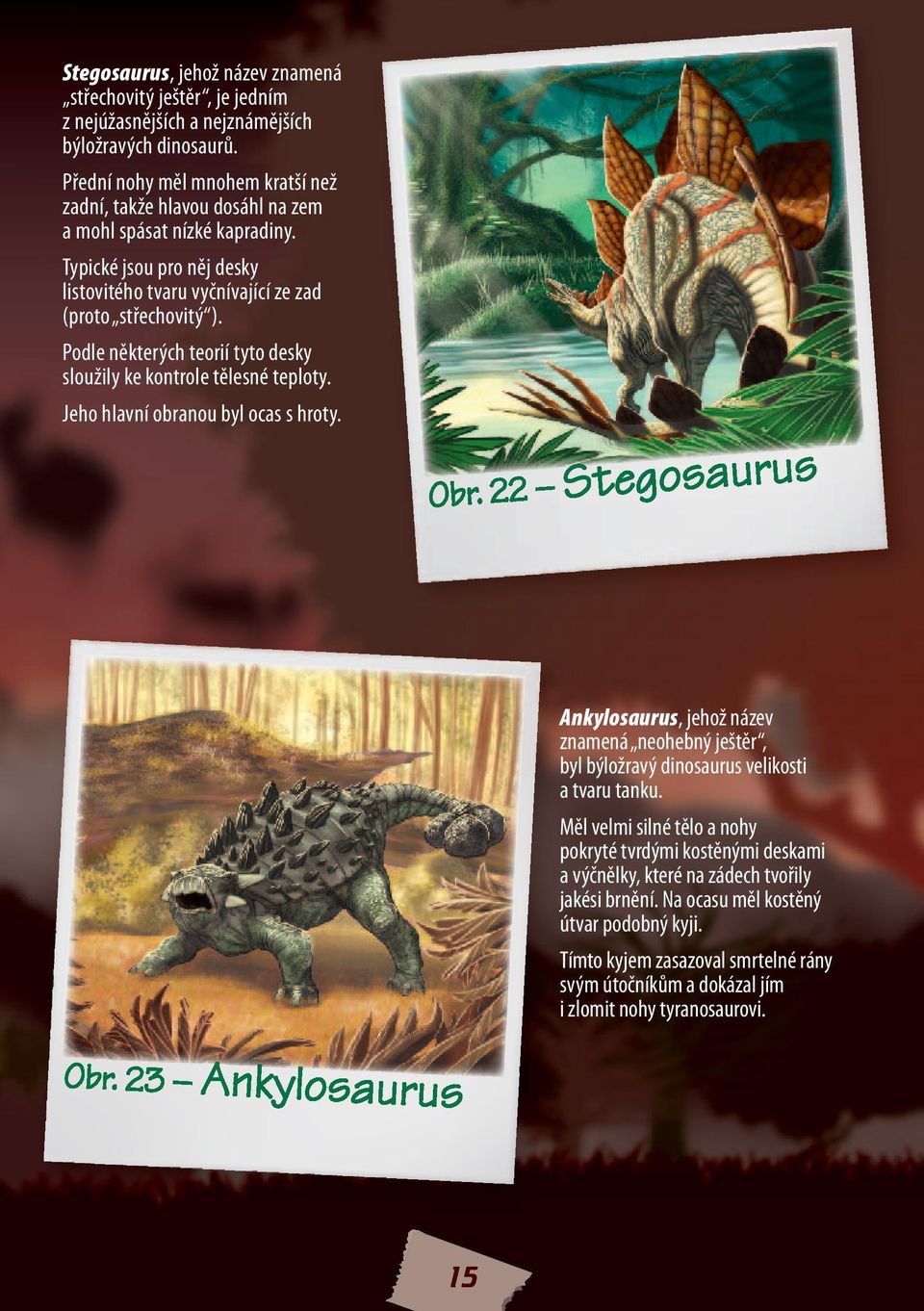 Podle některých teorií tyto desky sloužily ke kontrole tělesné teploty. Jeho hlavní obranou byl ocas s hroty. Obr. 22 Stegosaurus Obr.