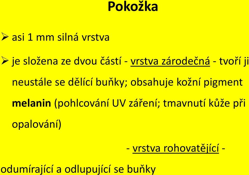 kožní pigment melanin (pohlcování UV záření; tmavnutí kůže při