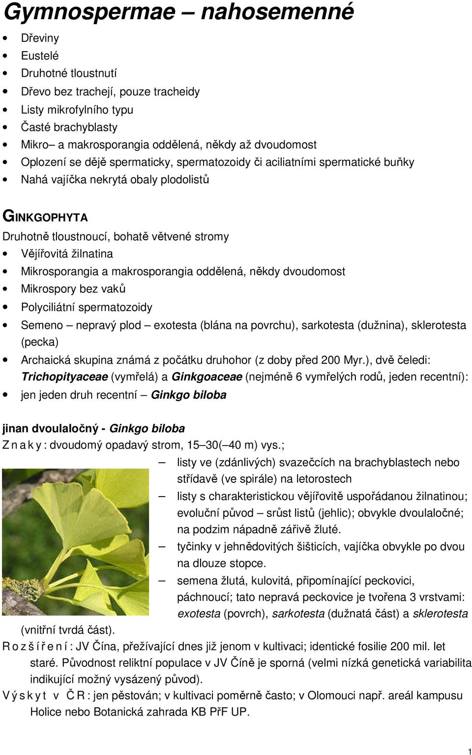 Mikrosporangia a makrosporangia oddělená, někdy dvoudomost Mikrospory bez vaků Polyciliátní spermatozoidy Semeno nepravý plod exotesta (blána na povrchu), sarkotesta (dužnina), sklerotesta (pecka)