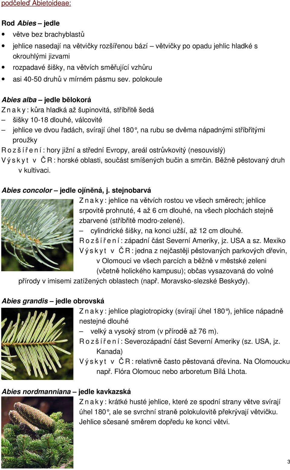 polokoule Abies alba jedle bělokorá Z n a k y : kůra hladká až šupinovitá, stříbřitě šedá šišky 10-18 dlouhé, válcovité jehlice ve dvou řadách, svírají úhel 180, na rubu se dv ěma nápadnými