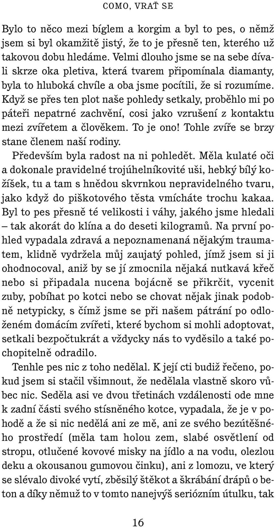 KdyÏ se pfies ten plot na e pohledy setkaly, probûhlo mi po pátefii nepatrné zachvûní, cosi jako vzru ení z kontaktu mezi zvífietem a ãlovûkem. To je ono!