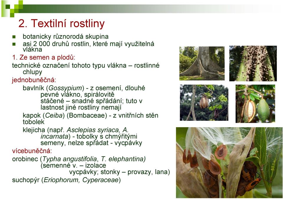 stáčené snadné spřádání; tuto v lastnost jiné rostliny nemají kapok (Ceiba) (Bombaceae) - z vnitřních stěn tobolek klejicha (např. Asclepias syriaca, A.