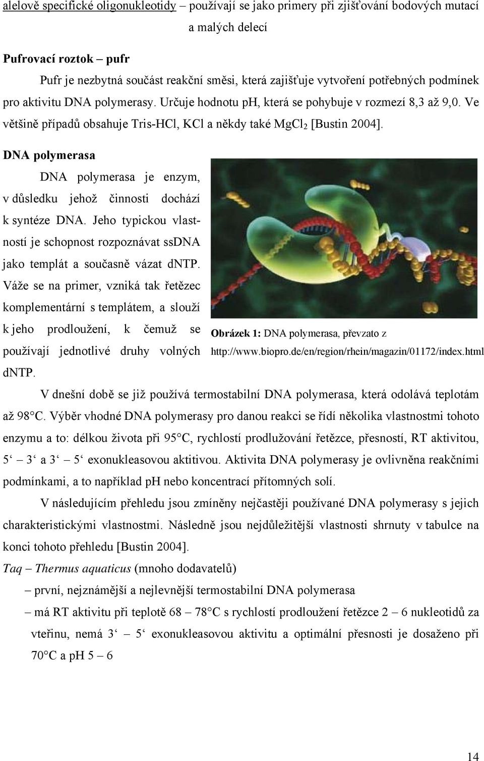 DNA polymerasa DNA polymerasa je enzym, v důsledku jehož činnosti dochází k syntéze DNA. Jeho typickou vlastností je schopnost rozpoznávat ssdna jako templát a současně vázat dntp.